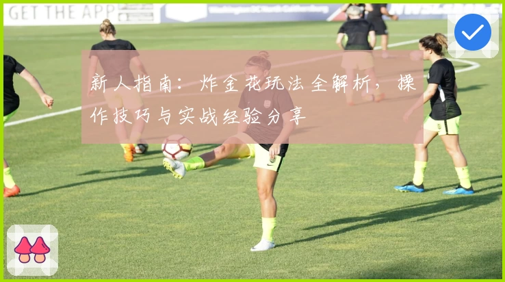 新人指南:炸金花玩法全解析,操作技巧与实战经验分享