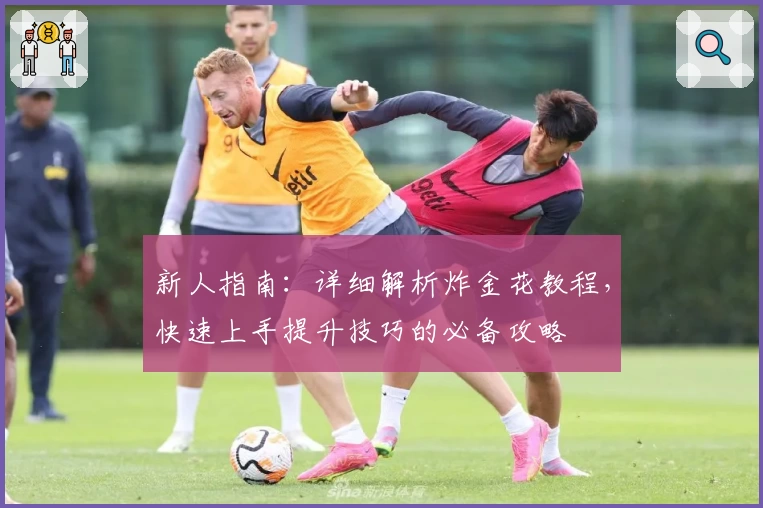 新人指南：详细解析炸金花教程，快速上手提升技巧的必备攻略