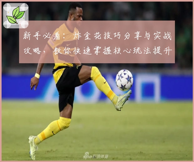 新手必看：炸金花技巧分享与实战攻略，教你快速掌握核心玩法提升牌技